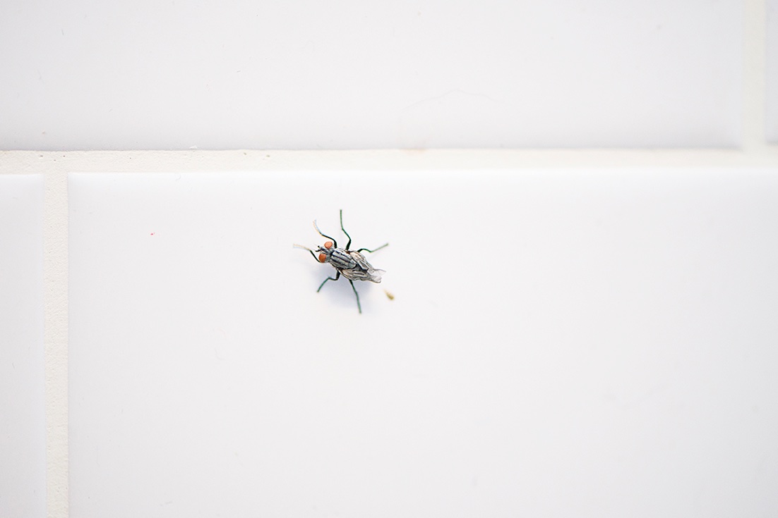 2024 TODOS SANTOS, BCS, WEEK 4