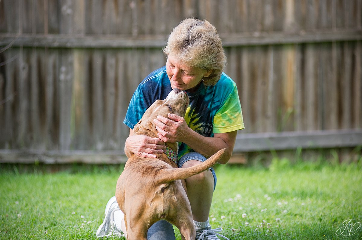 dog rescue, albany pet portrait photographer