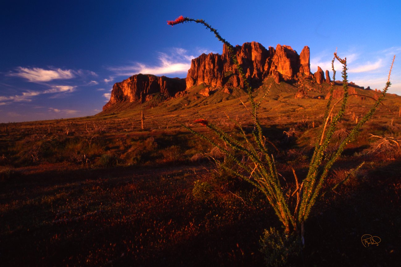 Bighorn And Caps 19x30 / Custom