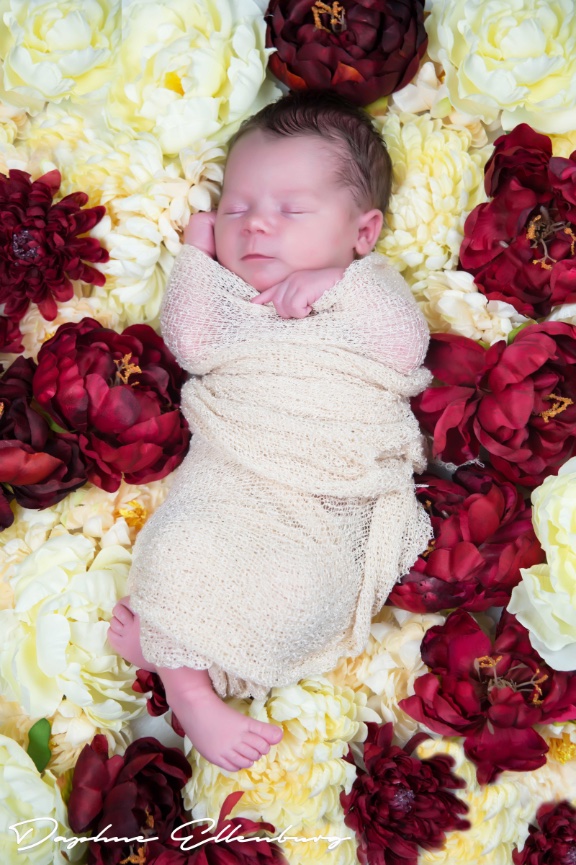 Newborn Photography Session