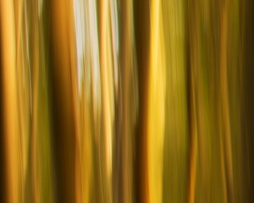 Art Cards (coming soon)