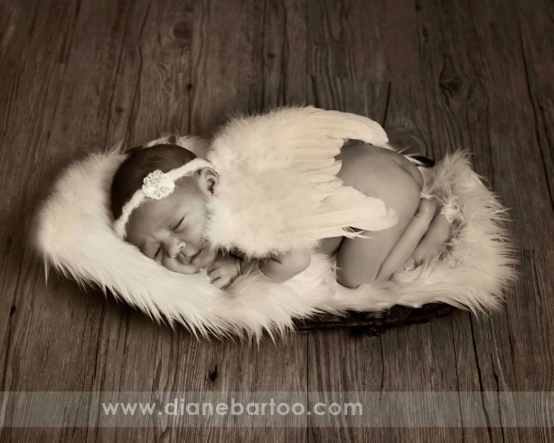 newborn baby pictures