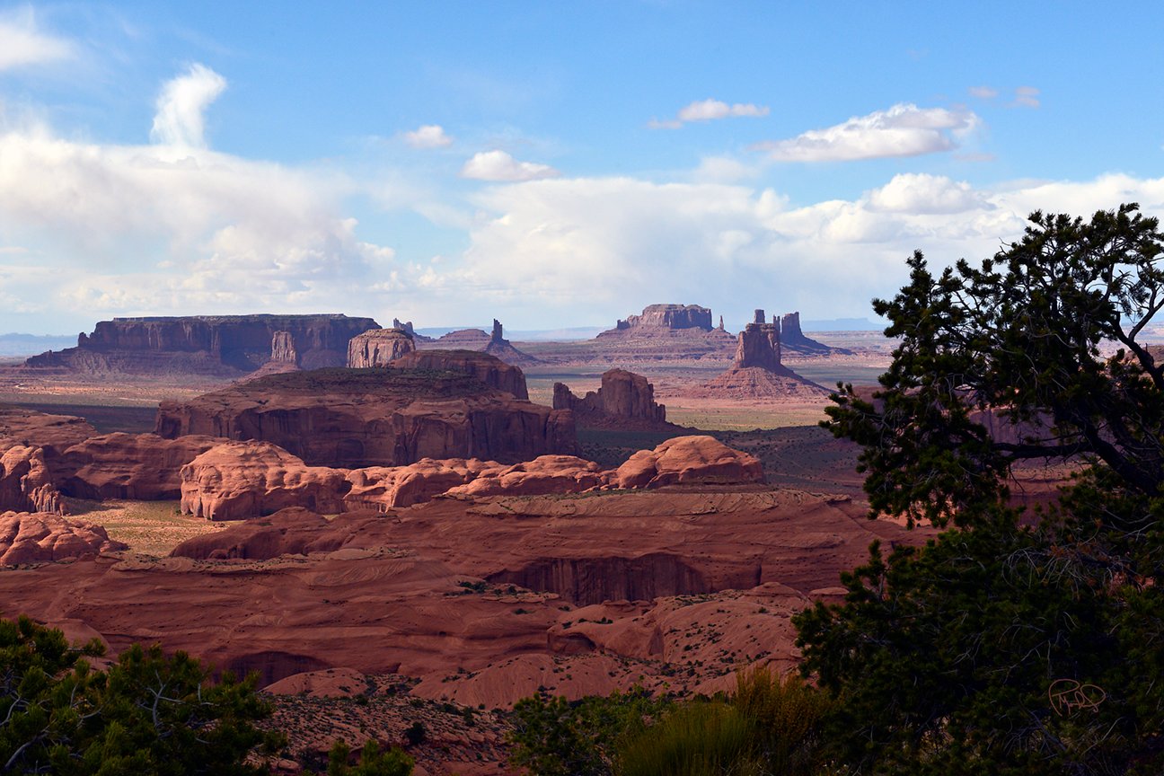 Looking Up 24x24 / 36x36 / Custom