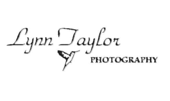Lynn Taylor Photography Logo