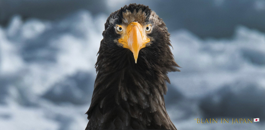 Japan Onsen Hot Springs - Japan Photo Tour