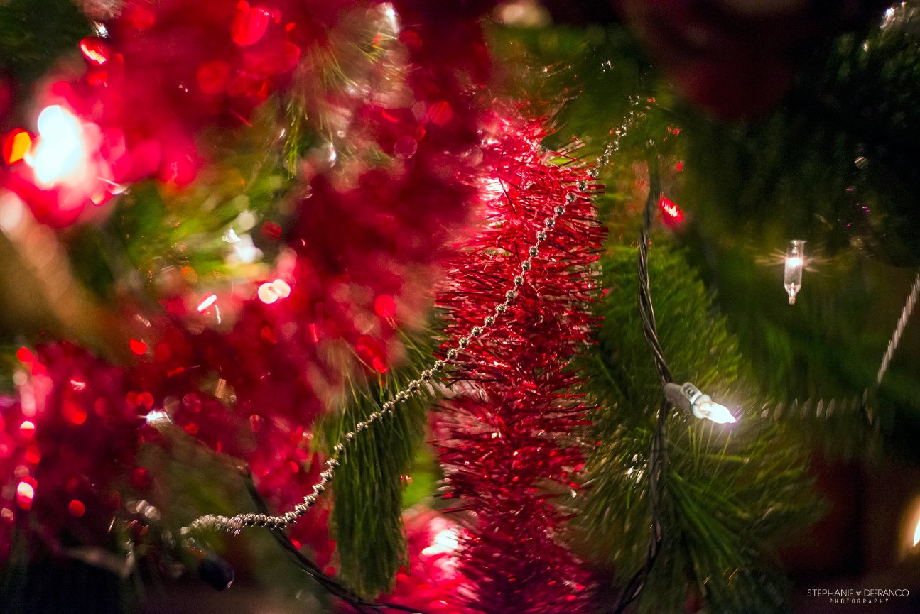 Lights & Red Tinsel