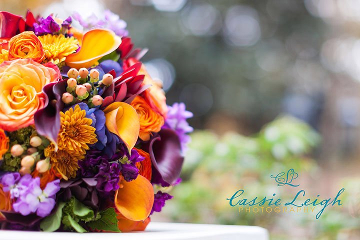 Matt and Tisha, Graystone Pines Wedding Venue, NC Wedding Photographers