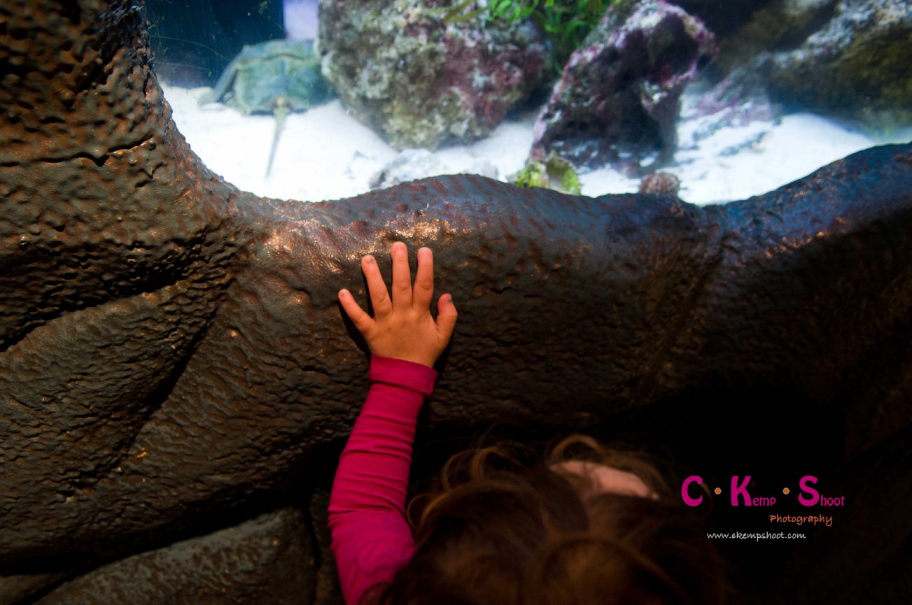 Blizzards, Butterflies and Blue Eyes