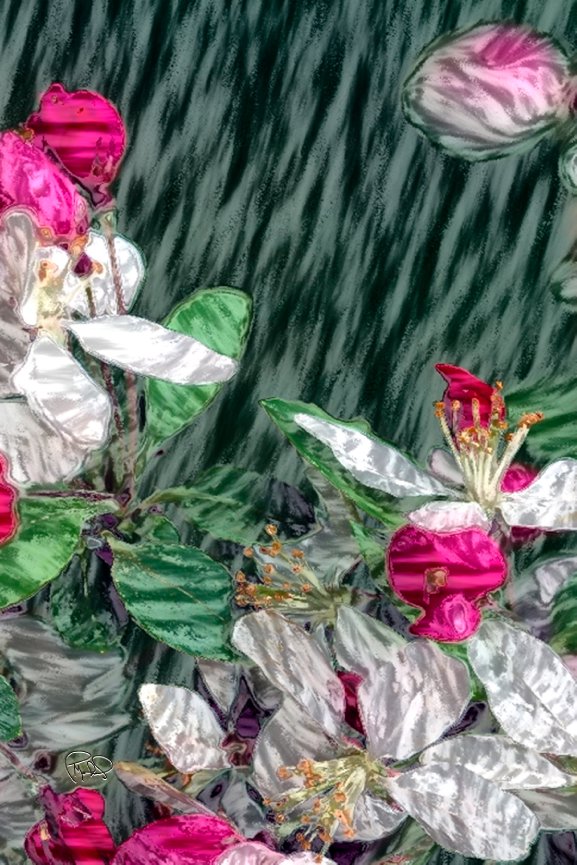 Arch and Shadow   20x30 / 26x40 / Custom