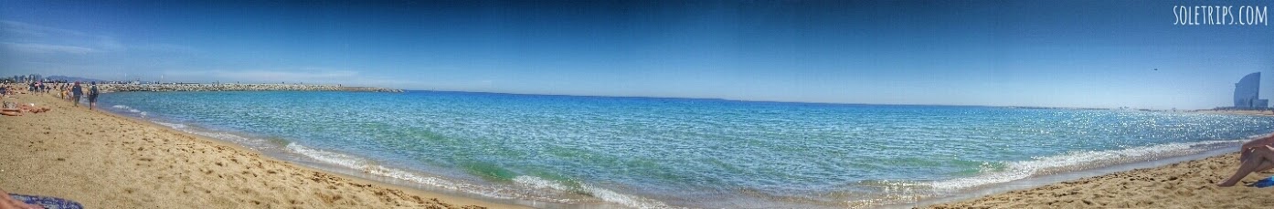 Edgewood Wedding Brunch