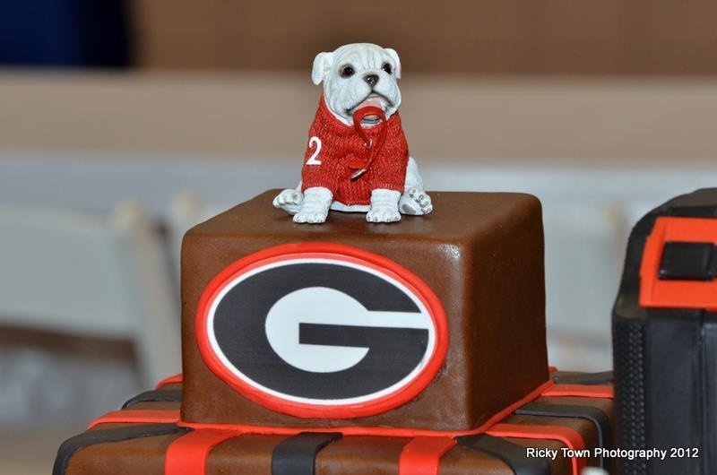 Georgia bulldog shop cake publix