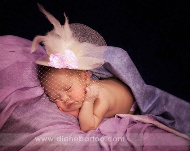 Newborn photographer