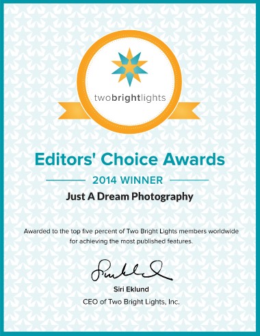 two bright lights charlotte NC north carolina wedding photographers award winning published featured photographers photography photo