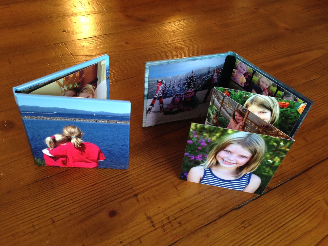 4 x 4 Accordion Book (set of 2)