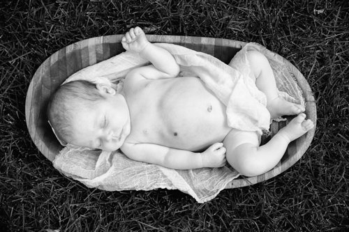 Baby Girl Newborn Portraits - Colorado