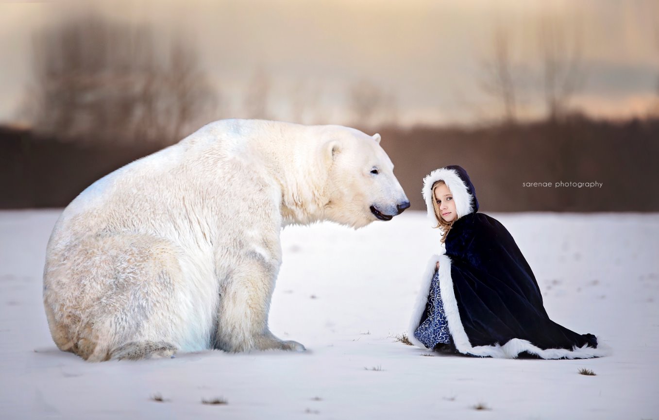 Polar Bear Editing video