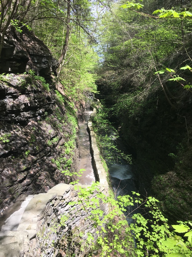 Watkins Glen Gorge Trail