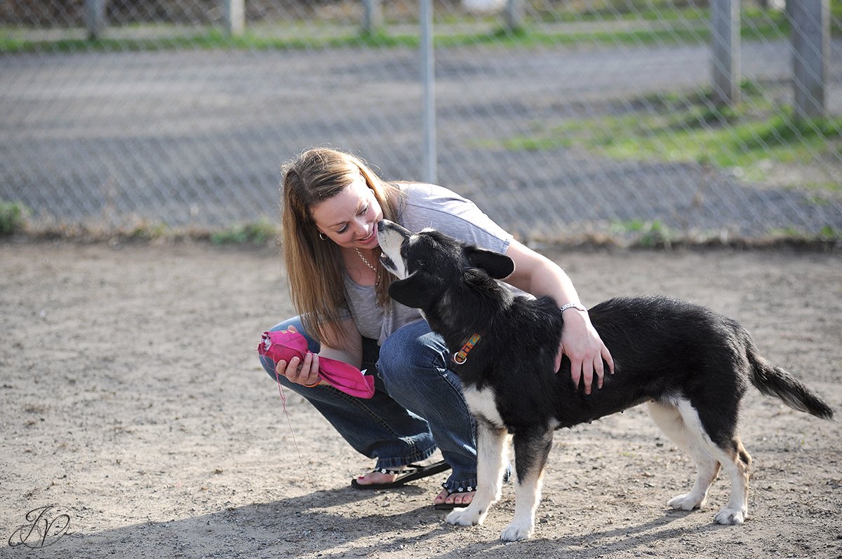 photo of rescue dog kissing rescuer