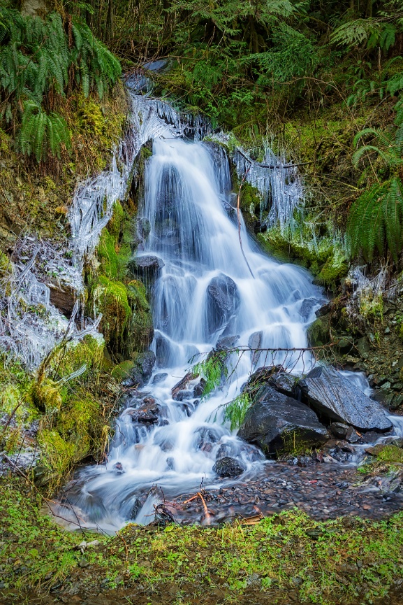 Baker Highway - North Cascades - 110202-380