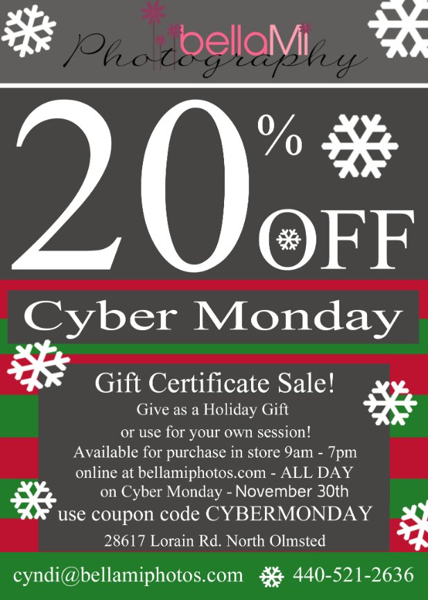 The Newborn Session Experience -Bella Mi Photography - Premiere Newborn Portrait Studio