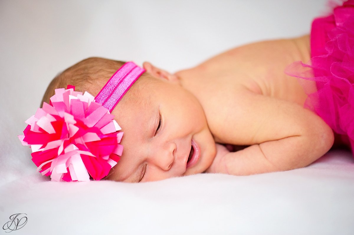 jessica painter photography albany newborn portrait photographer