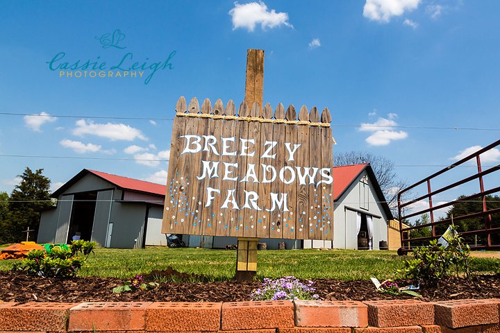 Tony and Heather! (Breezy Meadows Farm) Mooresville, NC  Wedding Photographer