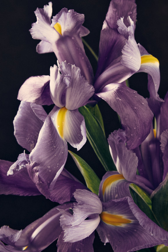 A Smattering of (pre)Work