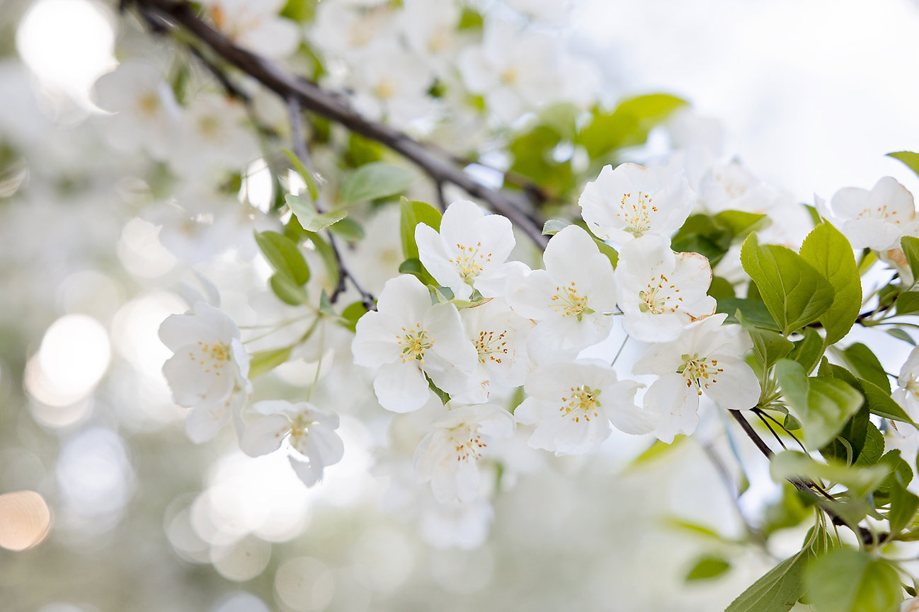 Best of both worlds: Kenzie + Ryan