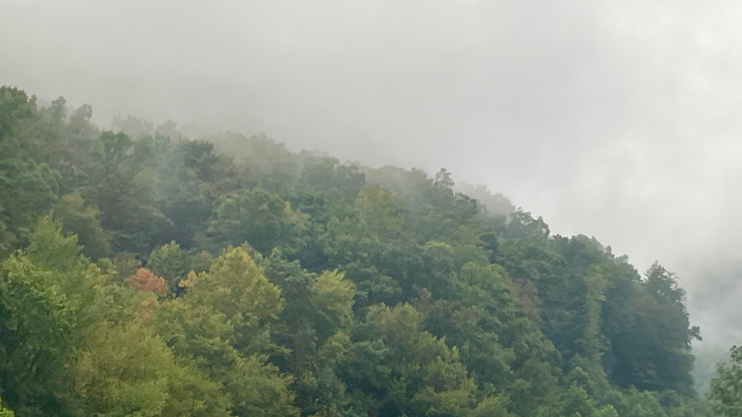 Three Works Selected For Dreamland