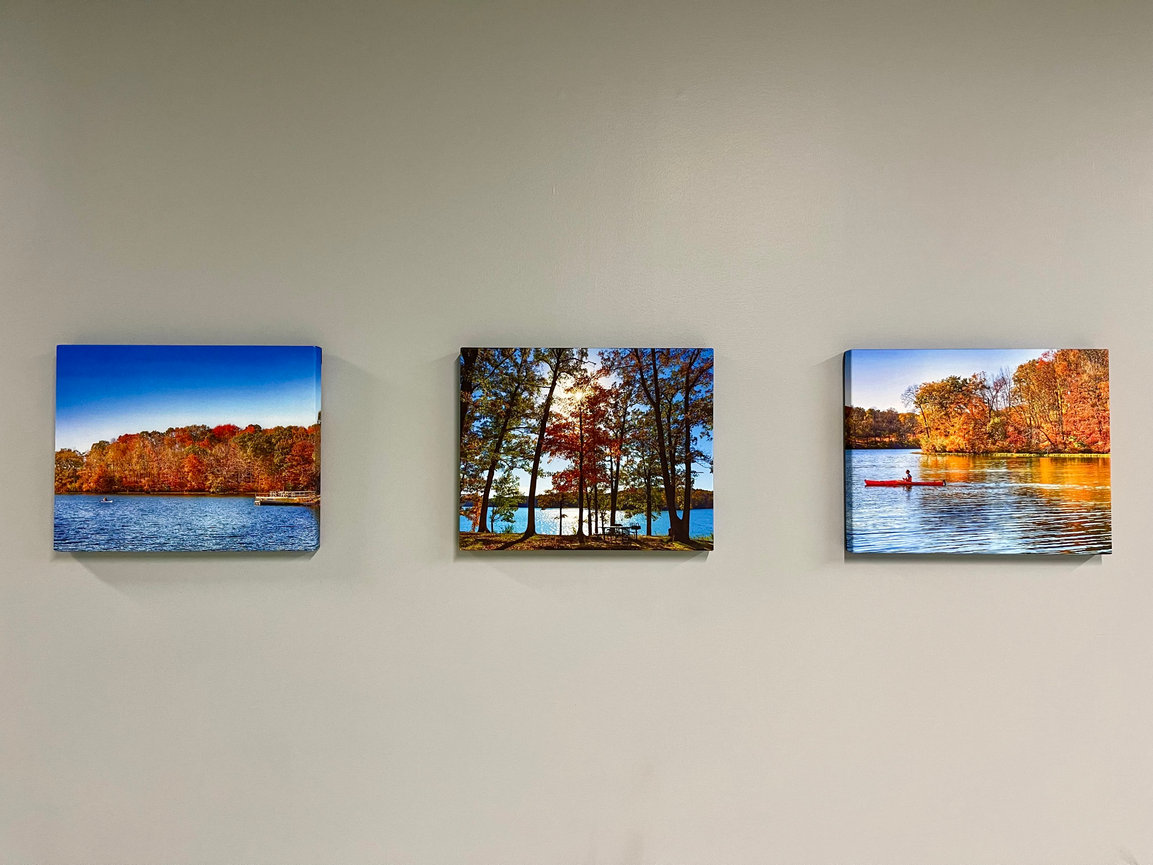 MainFrame Studio Exhibition