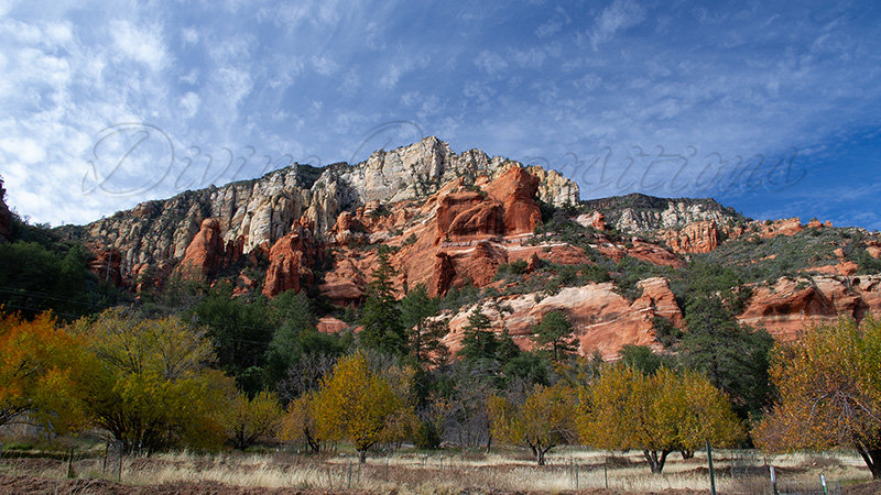 Kaiyah Takota The Final Chapter - A Novel Husky: Chapter 48