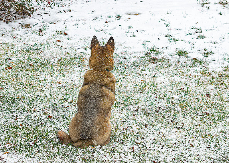 Kaiyah Takota The Final Chapter - A Novel Husky: Chapter 48