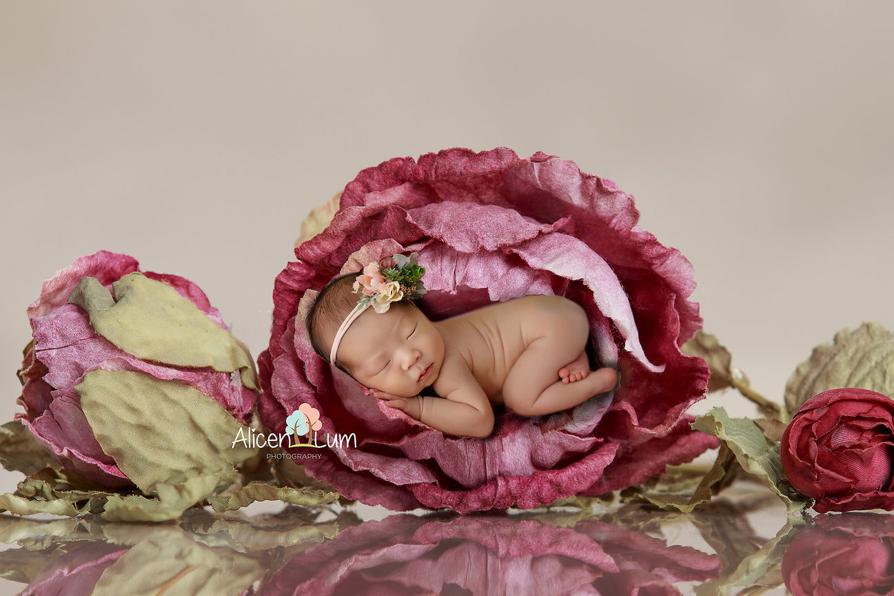 2025 Black Friday Special at Alicen Lum Photography