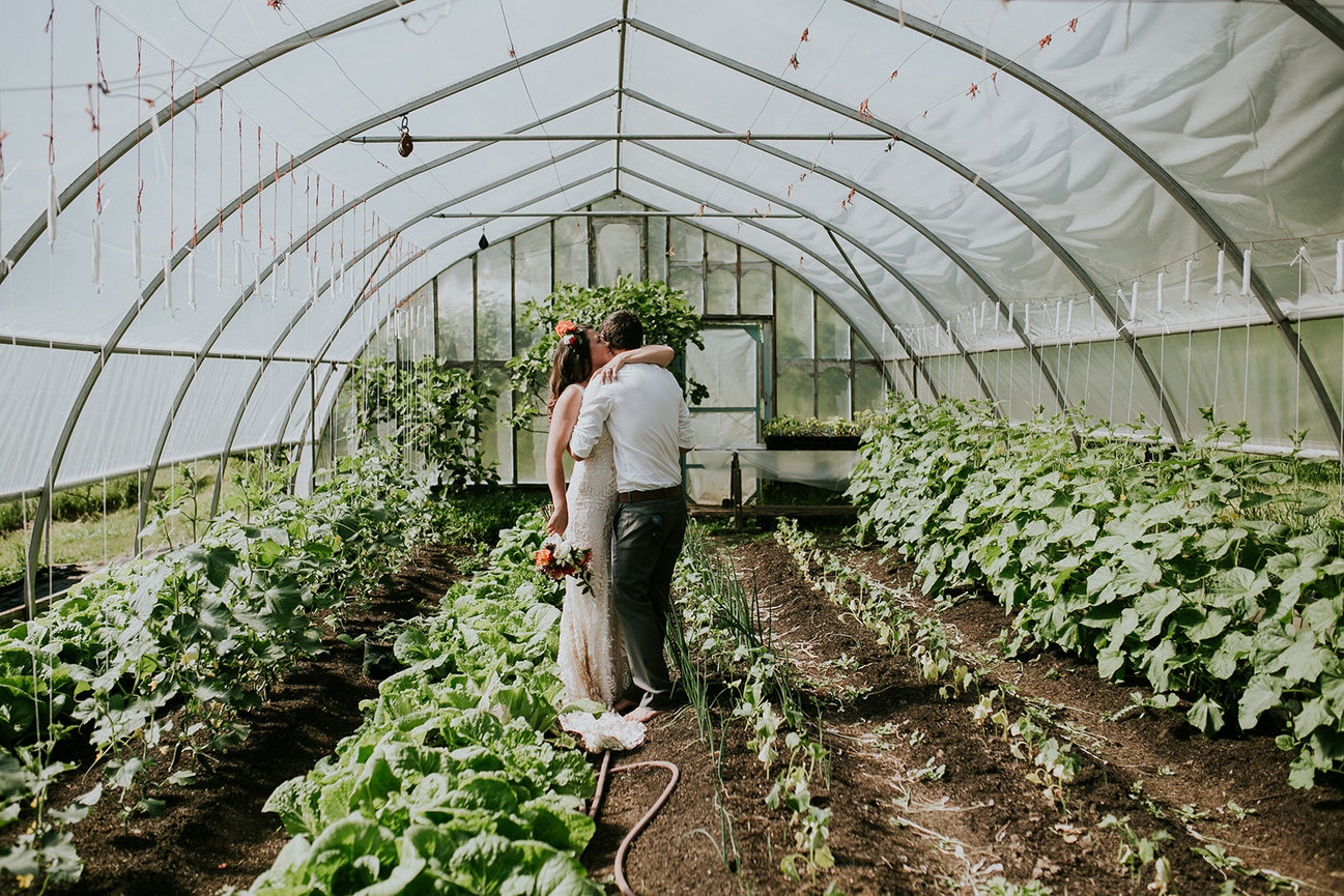 Stone Bridge Island Farm - Baylee + Kurt