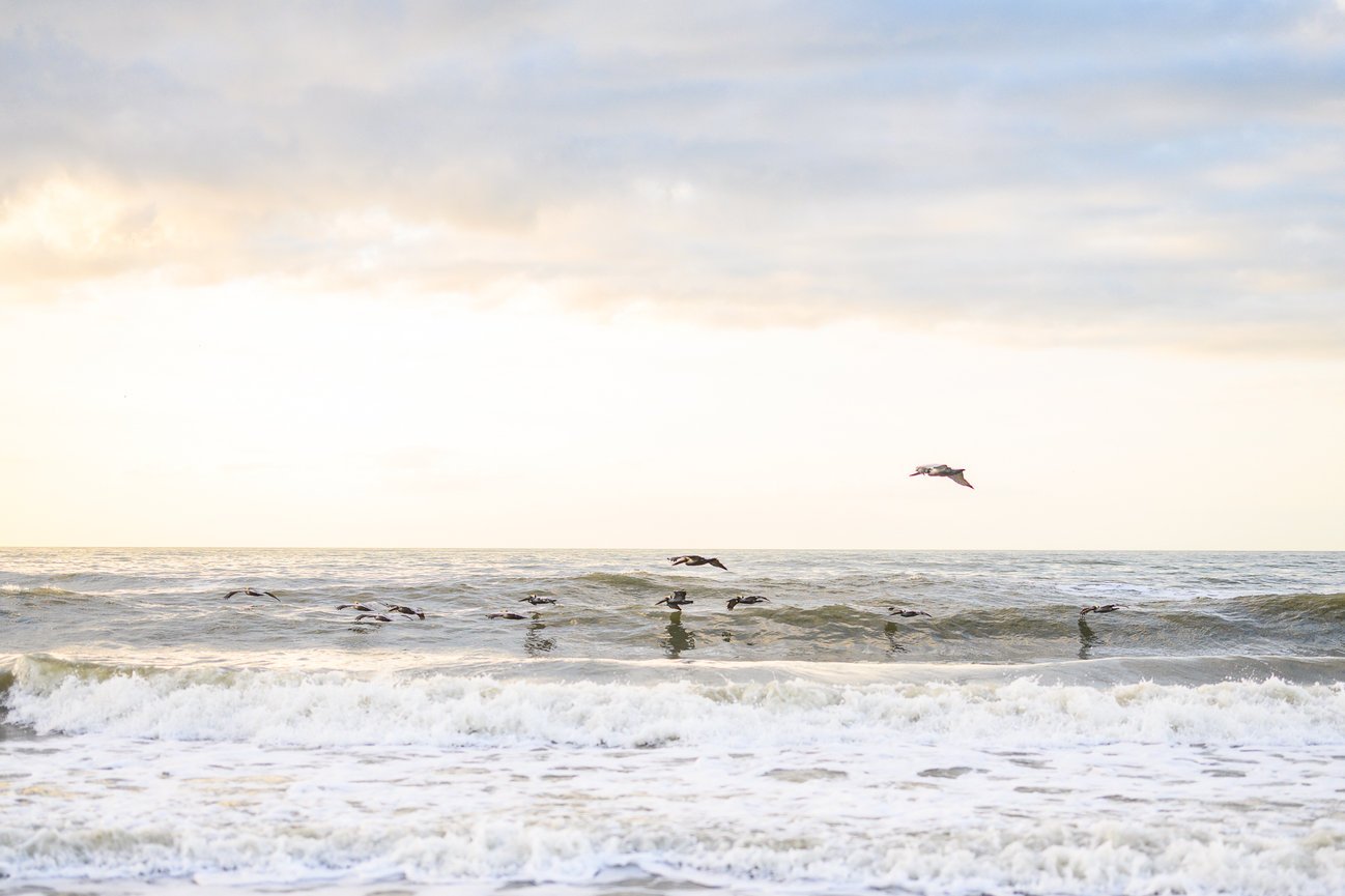 2026 Guide to Beach Sessions with Erin Rose