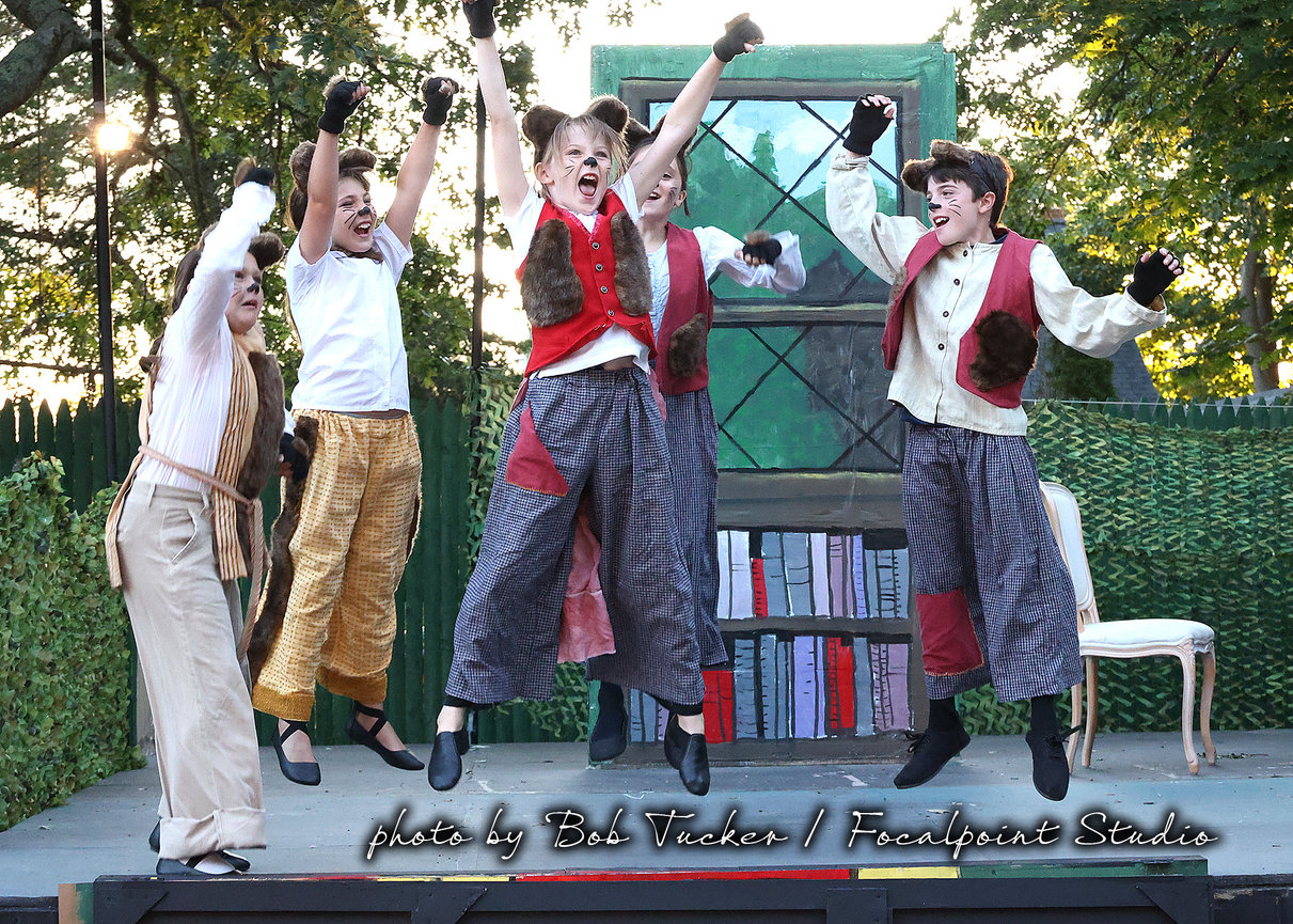 The Wind in the Willows at The Cape Cod Theatre Co