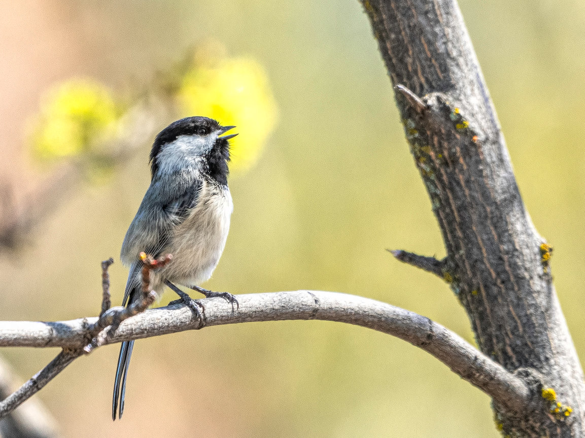 What to expect in a Photo Story Branding Session