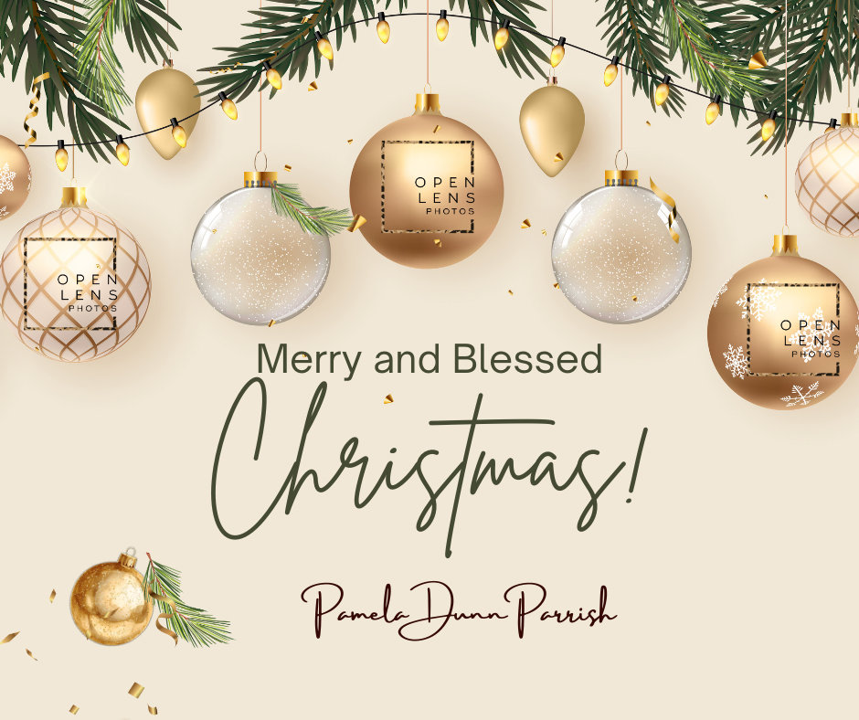 Back to what you Love!