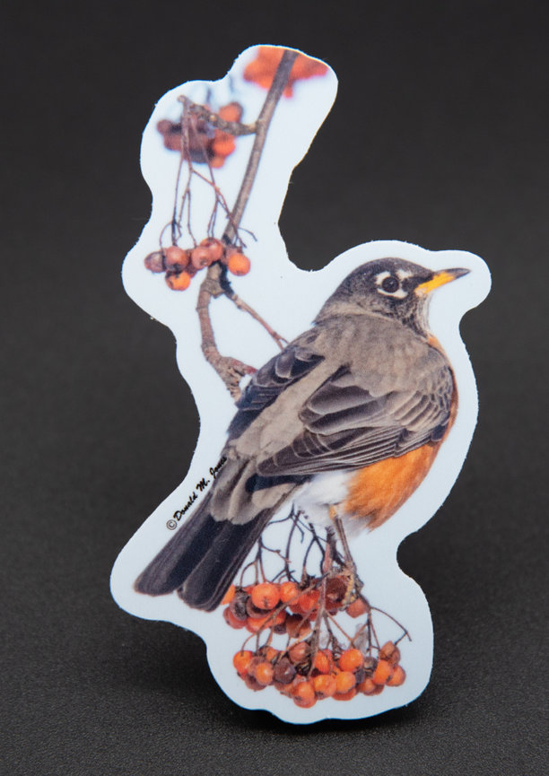 American Robin S4 415