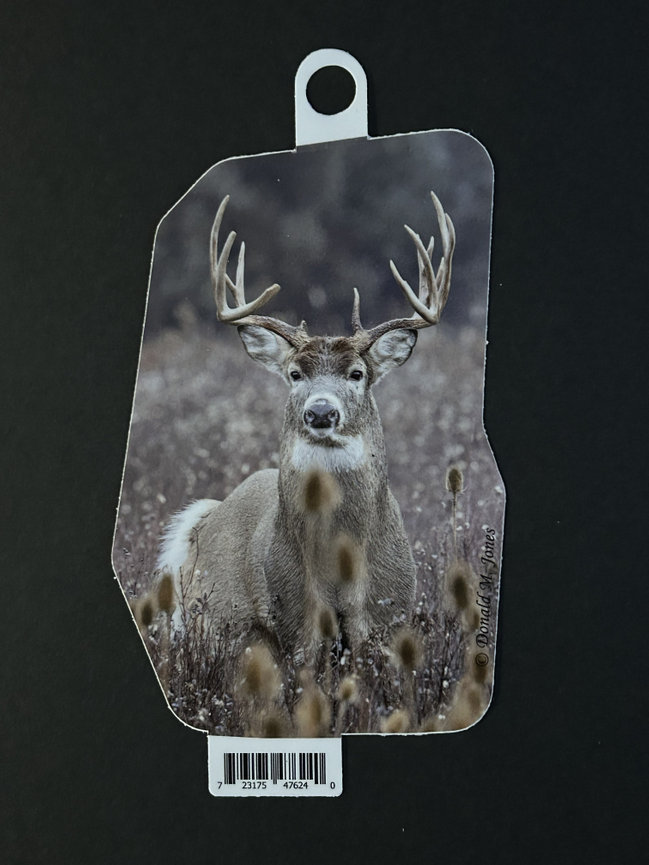 Whitetail Deer S4 704