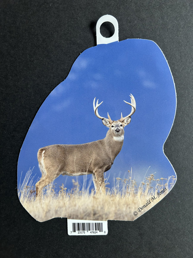 Whitetail Buck S6 707