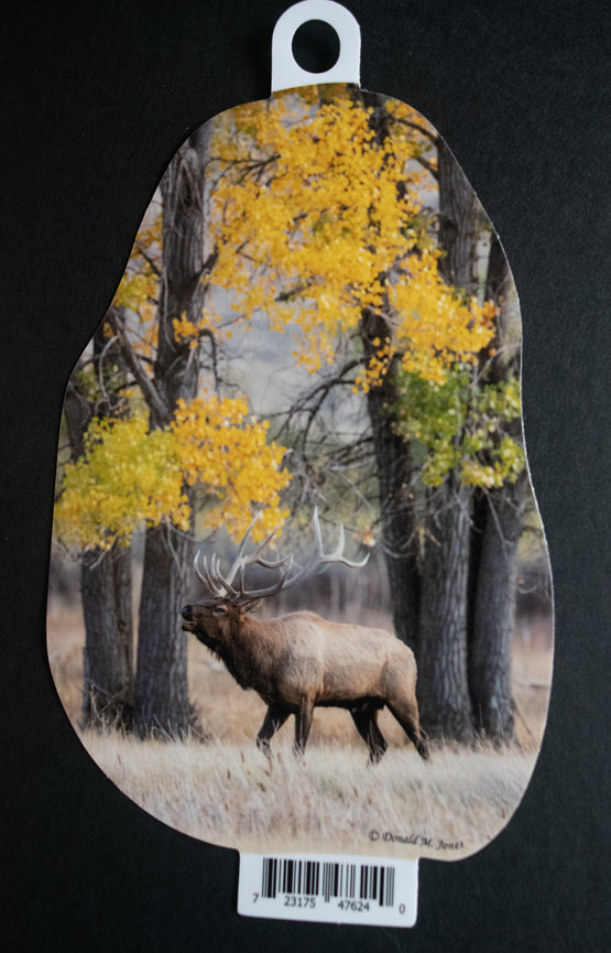 Bull Elk S4 612