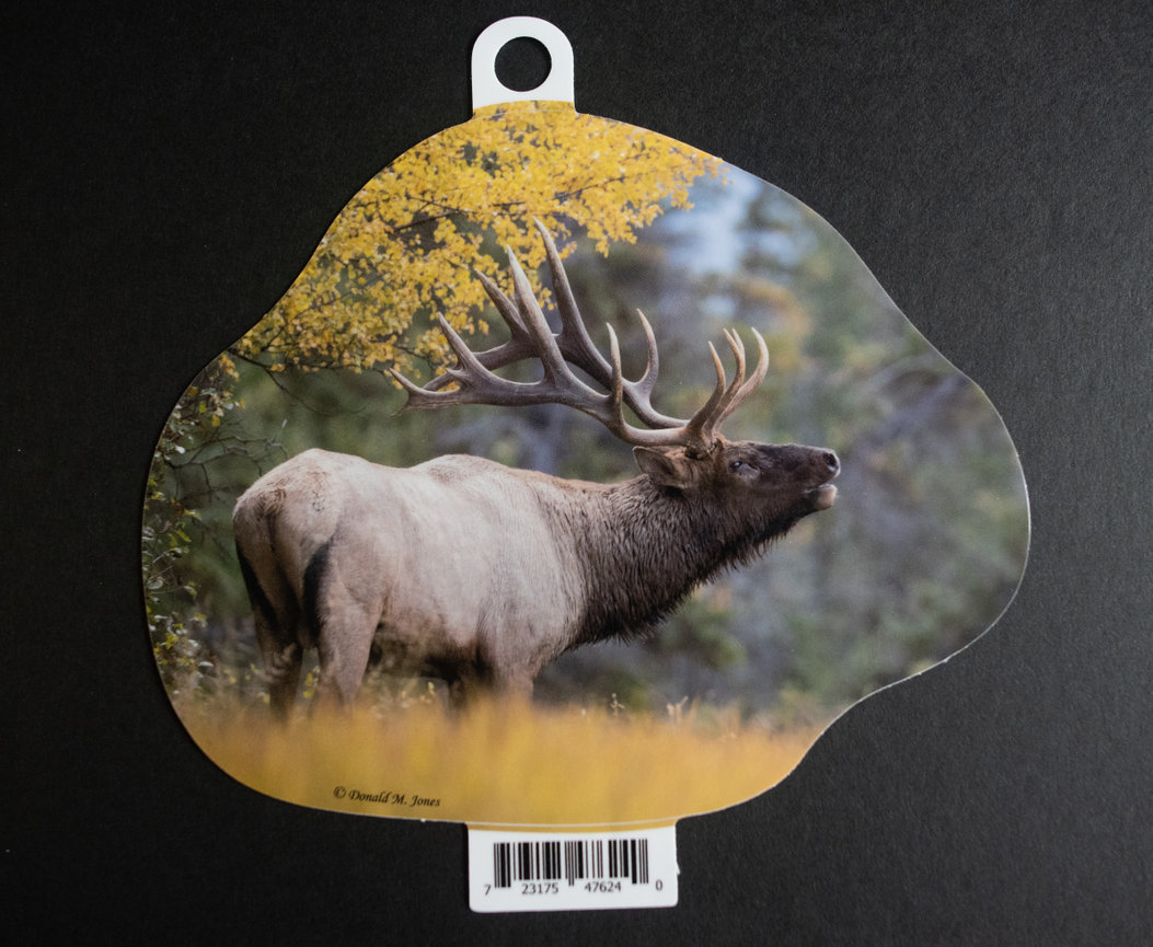 Bull Elk S6 542