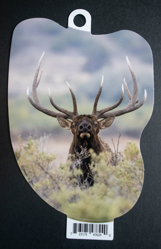 Bull Elk S6 710