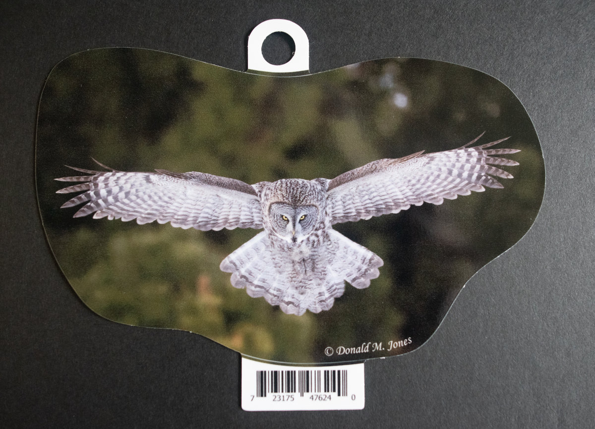 Great Gray Owl S6 730