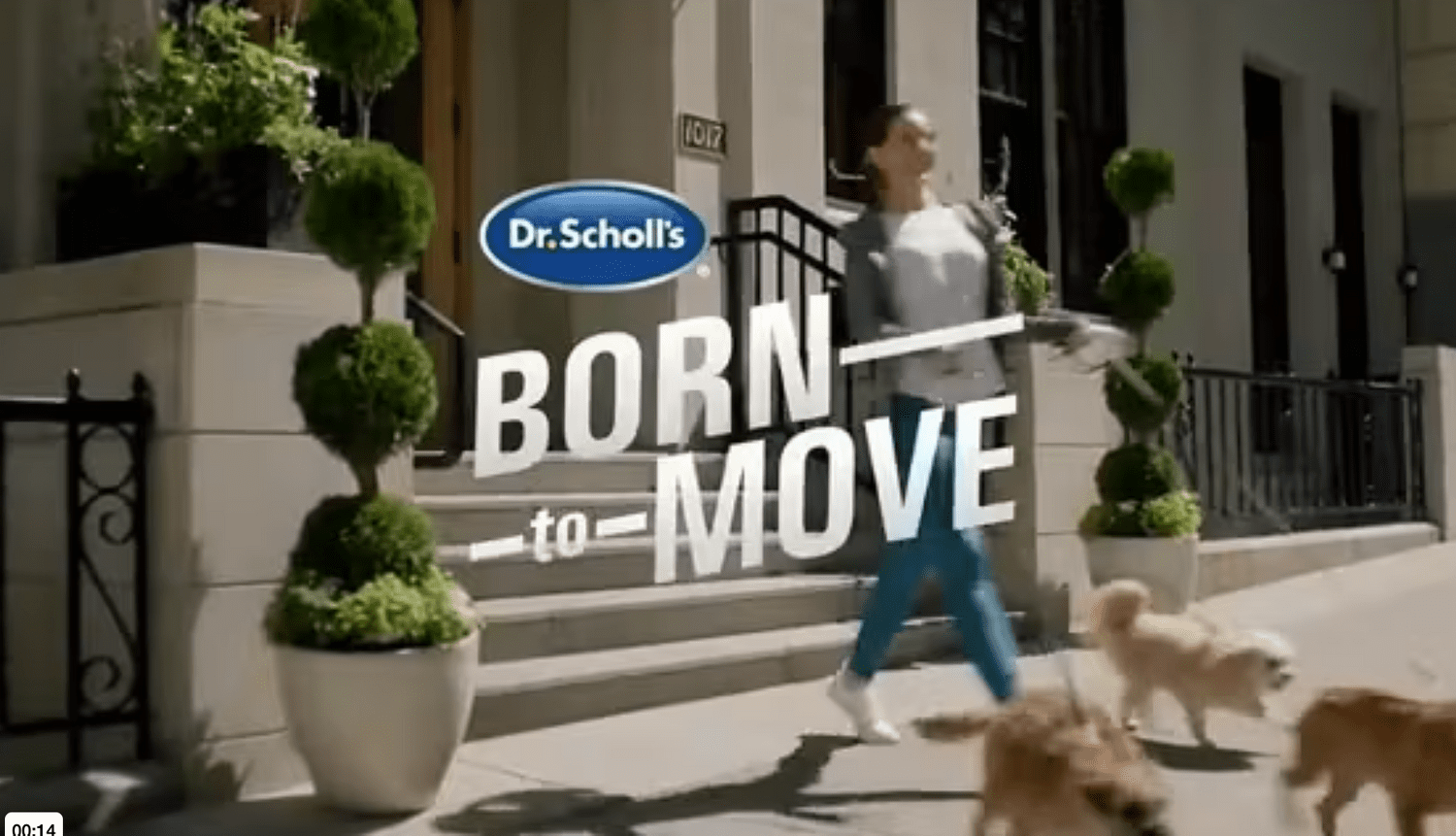 Dr scholl's born deals to move