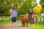 Highland Cow Photography Experience Fernvale:  Highlands of Vernor