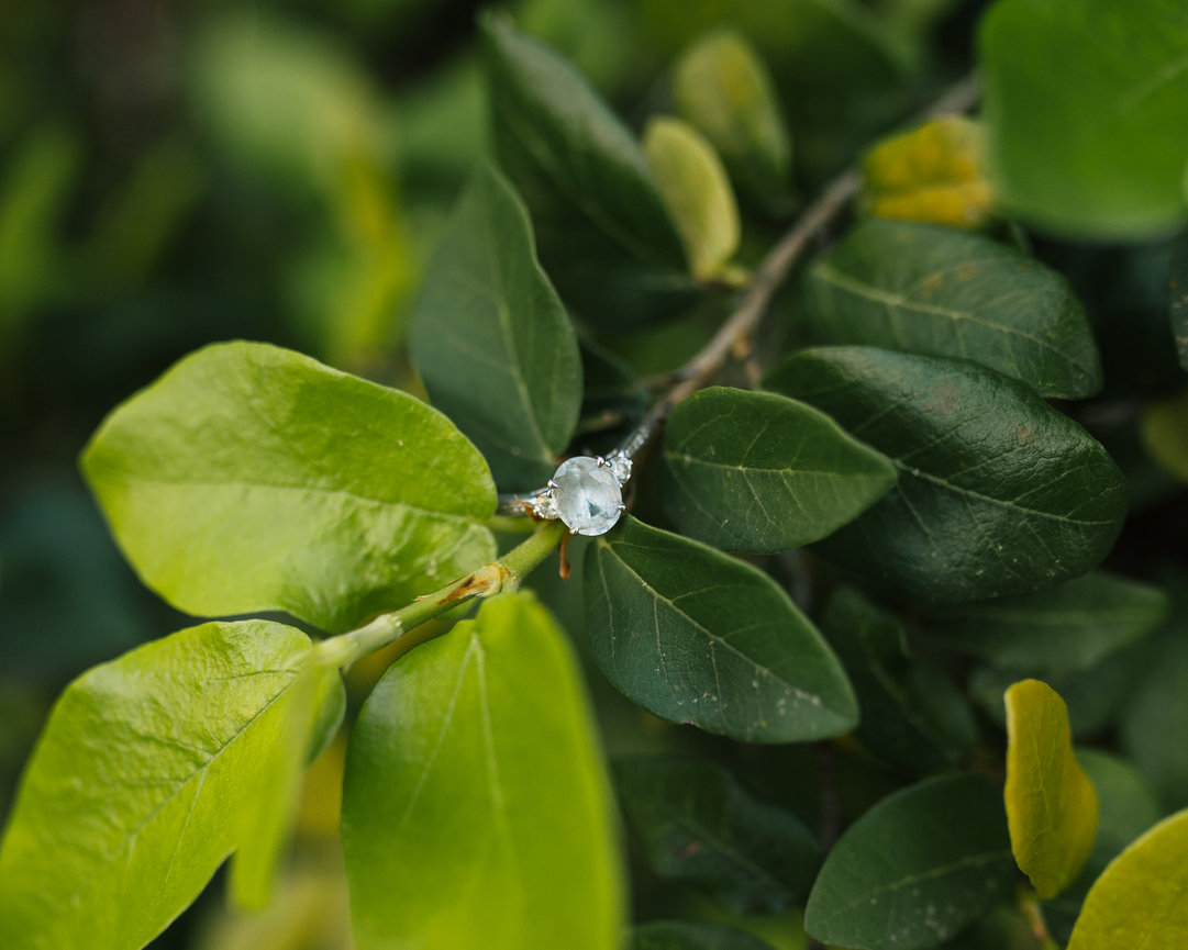 Ryder & Stephany- Engagement- The Claussen House