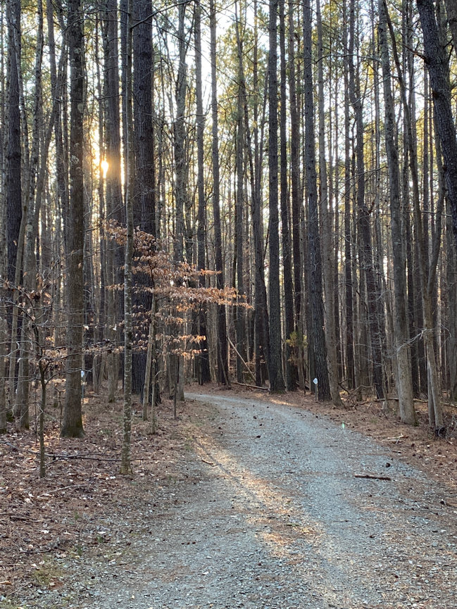 Quick and painless photoshoot for your dating profile