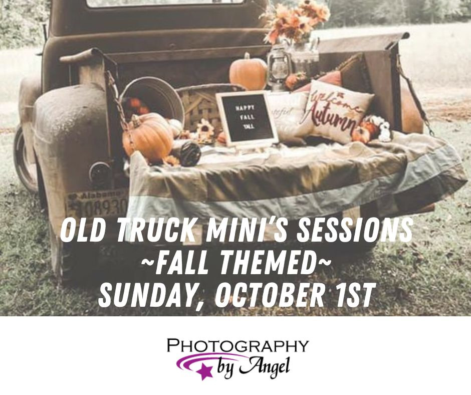 Trick or Treat Mini Sessions